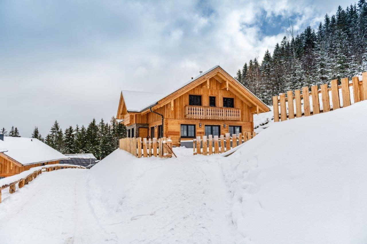 Poolchalet Dachsteinblick بروغيرن المظهر الخارجي الصورة