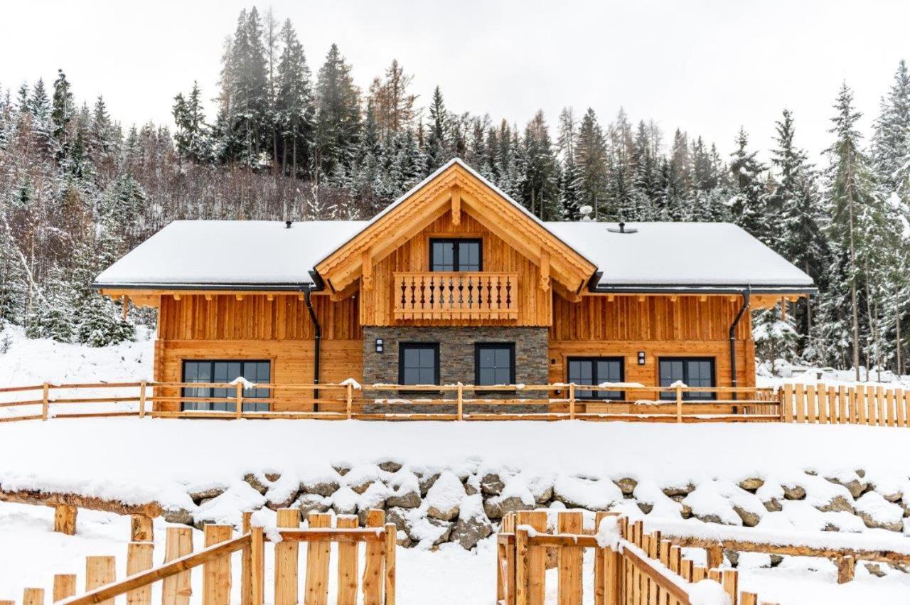 Poolchalet Dachsteinblick بروغيرن المظهر الخارجي الصورة
