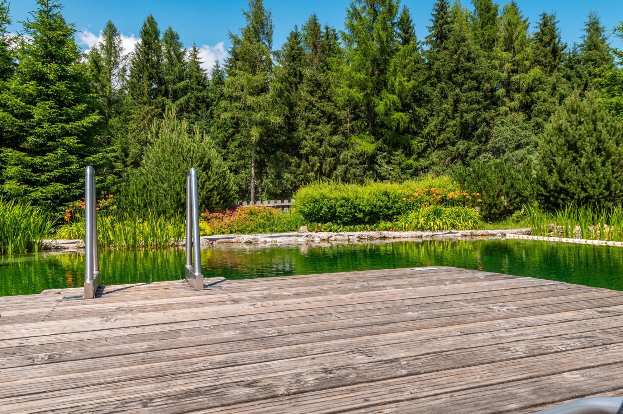 Poolchalet Dachsteinblick بروغيرن المظهر الخارجي الصورة