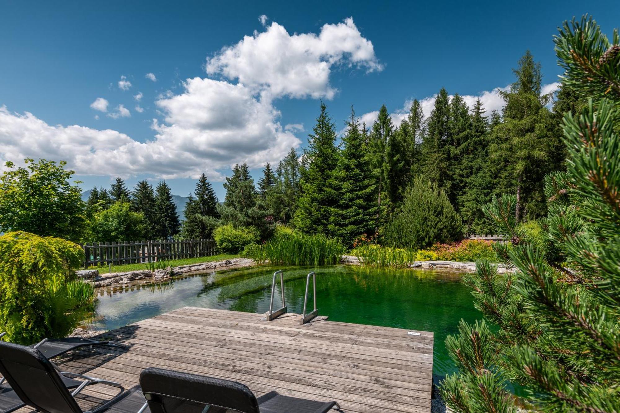 Poolchalet Dachsteinblick بروغيرن المظهر الخارجي الصورة